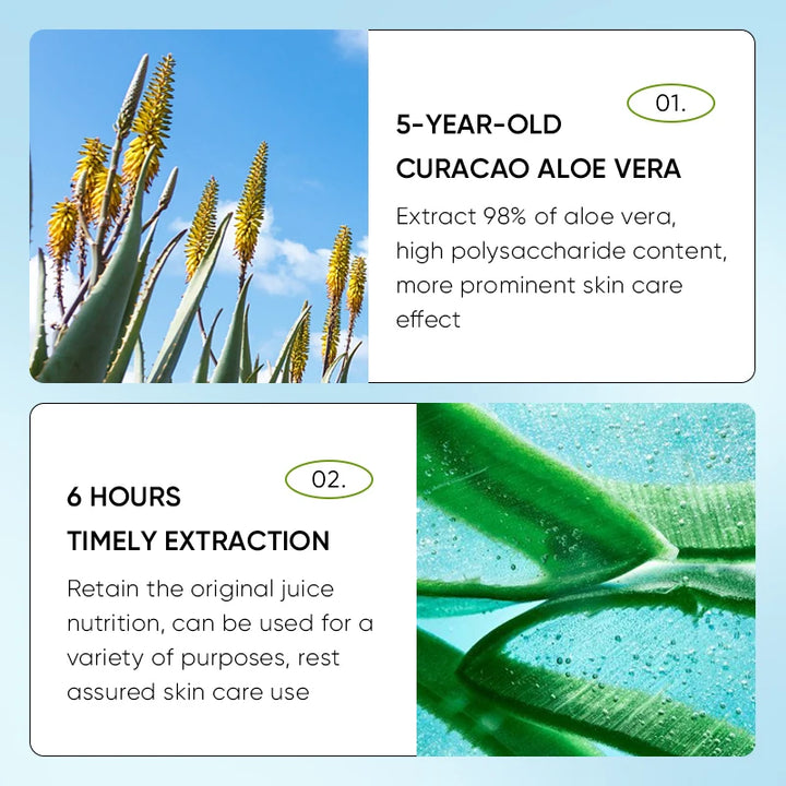 24pcs SADOER Aloe Vera Lip Balm Moisturizing Anti Cracking Hydrating Nourishing Anti Wrinkles Lipstick Lips Skin Care Products