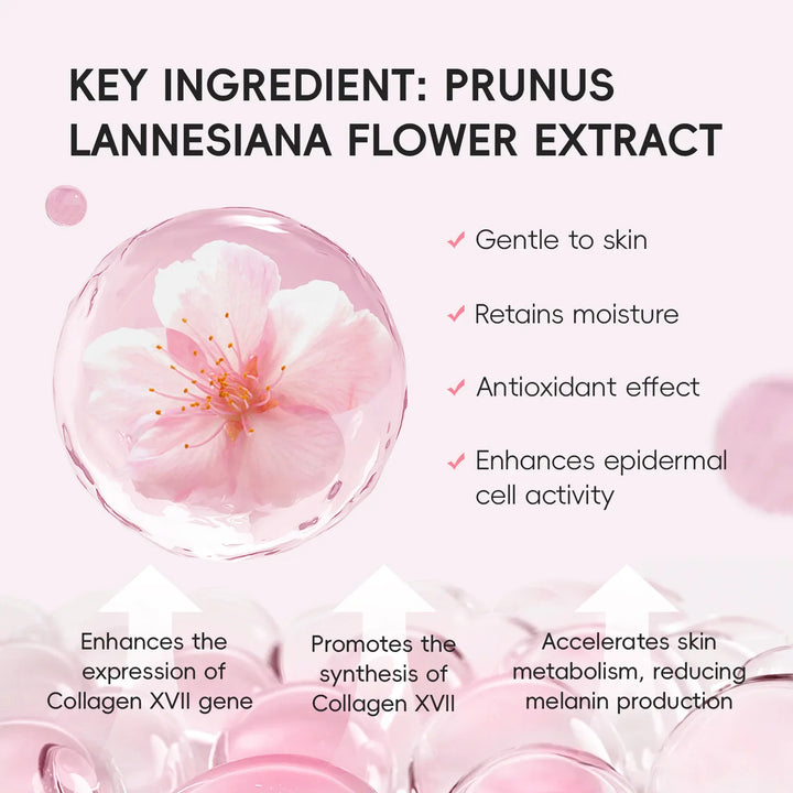 Sakura Makeup Setting Spray Moisturizing Waterproof Oil Control Long Lasting Non Sticky Dewy Quick Fixer Face Mist