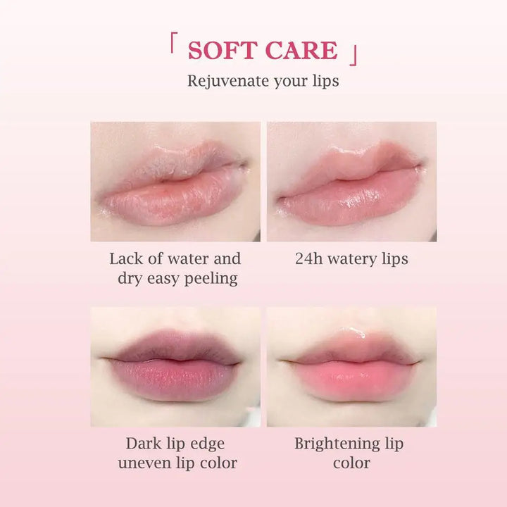 6PCs Natural Fruit Discolored Lip Balm Set Color Changing Moisturizing Lip Tint Long-Lasting Glossy Nourishing Lipstick Lip Care