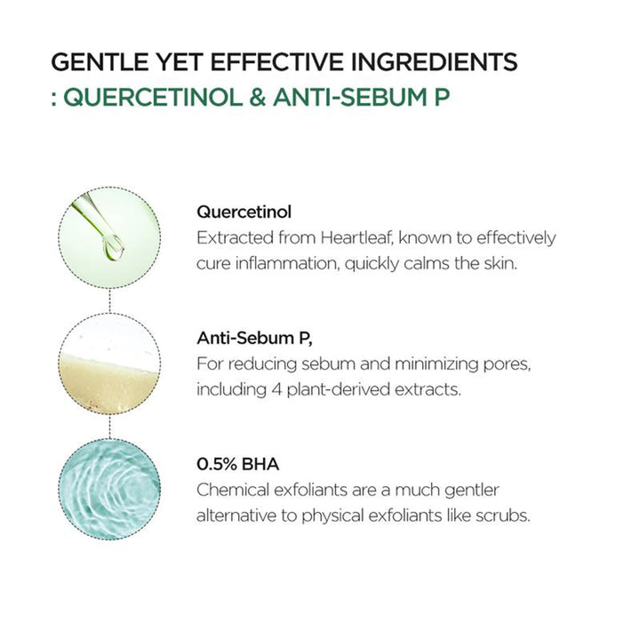 Heartleaf Quercetin Pore Deep Cleansing Foam, Cleanser, Double Cleansing, BHA, Hyaluronic Acid Skincare